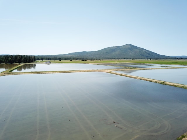 25653 Glenburn Rd, Fall River Mills, CA 96028 - water view featuring mountains