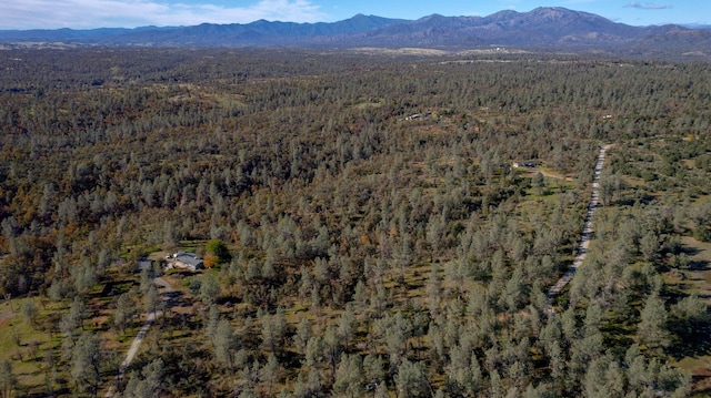 40ACRES Heavenly Valley Ln, Anderson, CA 96007