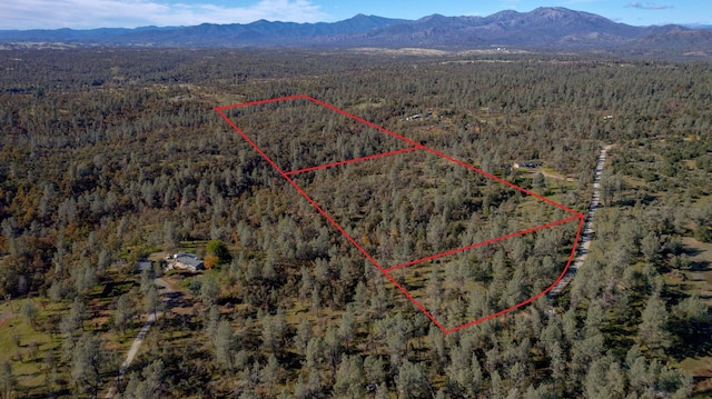 40ACRES Heavenly Valley Ln, Anderson, CA 96007