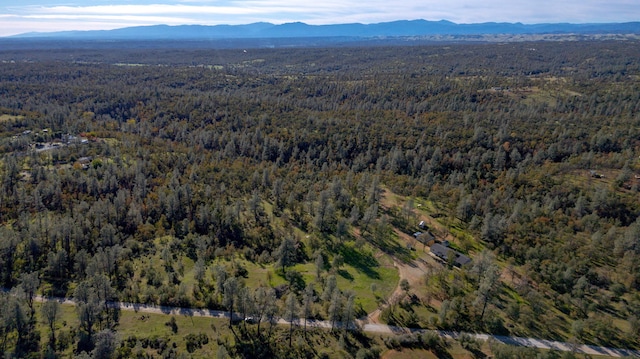 40ACRES Heavenly Valley Ln, Anderson, CA 96007