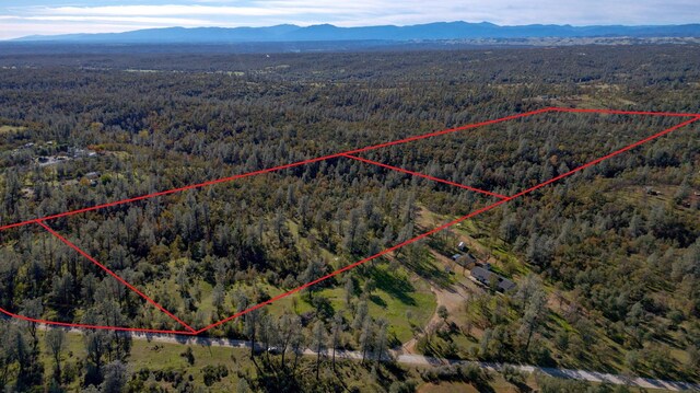 40ACRES Heavenly Valley Ln, Anderson, CA 96007