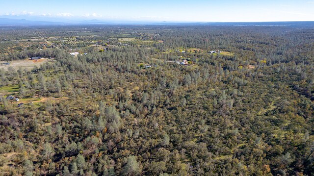 40ACRES Heavenly Valley Ln, Anderson, CA 96007