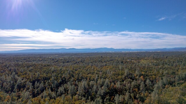 40ACRES Heavenly Valley Ln, Anderson, CA 96007