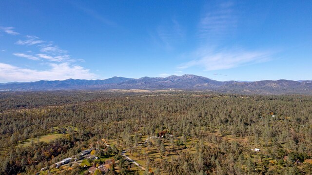 40ACRES Heavenly Valley Ln, Anderson, CA 96007