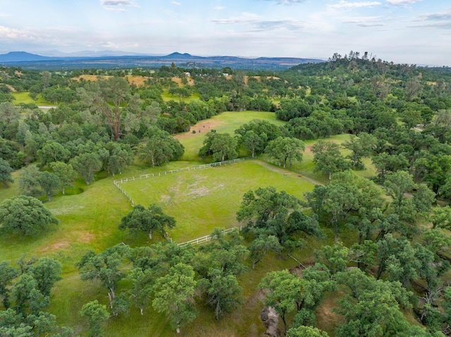 bird's eye view with a mountain view and a view of trees