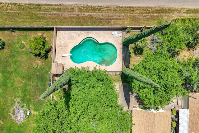 bird's eye view