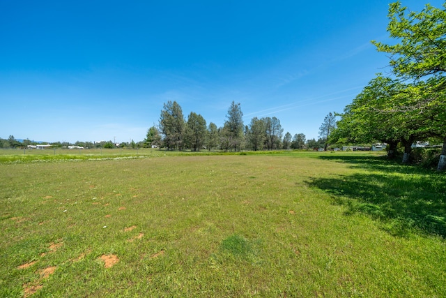 view of yard with a rural view
