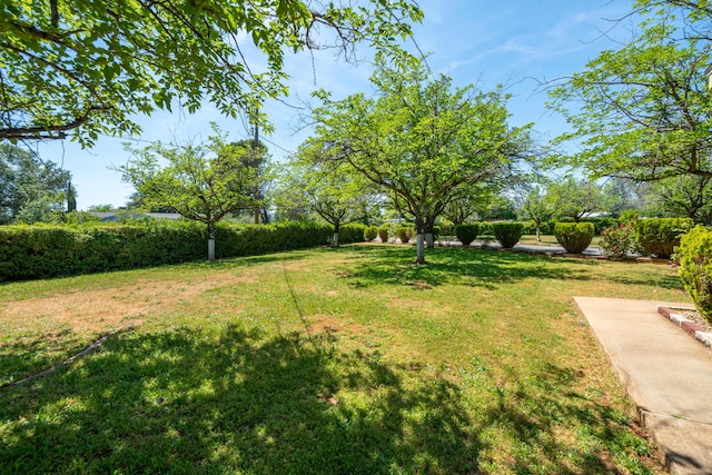 view of yard
