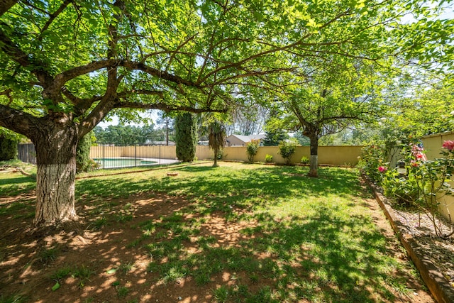 view of yard featuring a fenced in pool and a fenced backyard