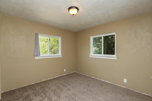 spare room featuring carpet flooring