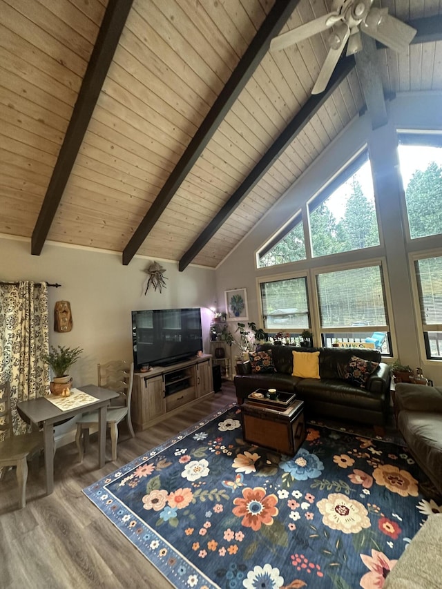 living area featuring wood ceiling, wood finished floors, a wealth of natural light, and beamed ceiling