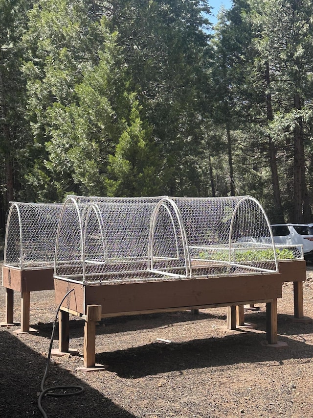 exterior space with a vegetable garden