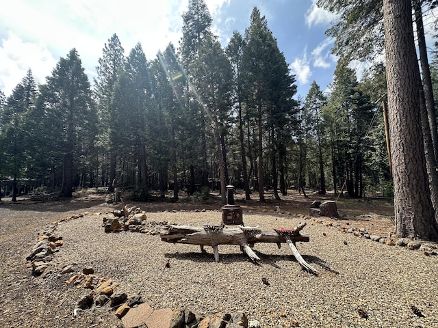 view of nature featuring a forest view