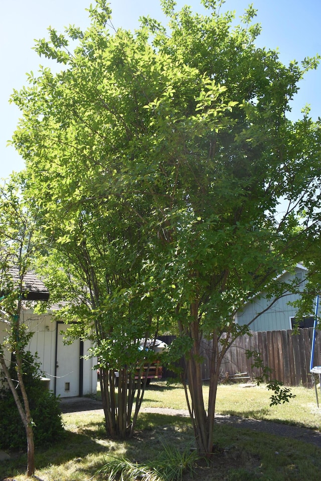 view of yard with a trampoline and fence