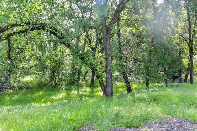 10025 Harley Leighton Rd, Redding, CA 96003 - photo 7