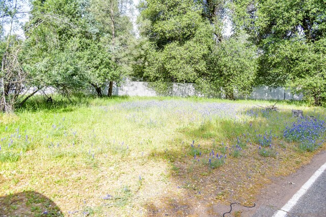 10025 Harley Leighton Rd, Redding, CA 96003 - photo 8