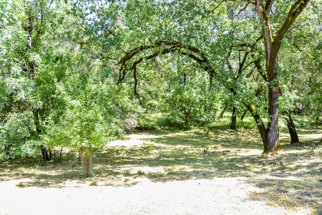 10025 Harley Leighton Rd, Redding, CA 96003 - photo 9