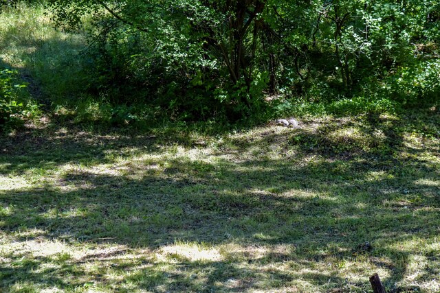10025 Harley Leighton Rd, Redding, CA 96003 - photo 10
