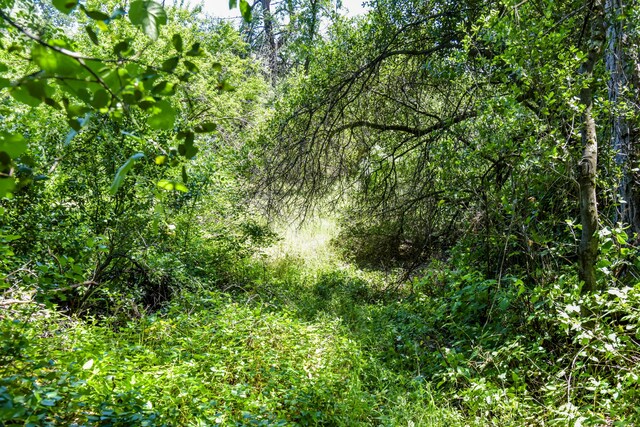 10025 Harley Leighton Rd, Redding, CA 96003 - photo 11