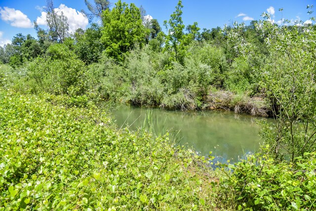 10025 Harley Leighton Rd, Redding, CA 96003 - photo 12