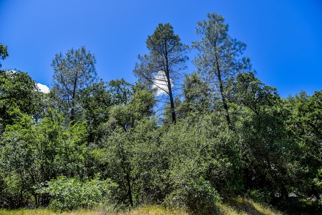 10025 Harley Leighton Rd, Redding, CA 96003 - photo 16