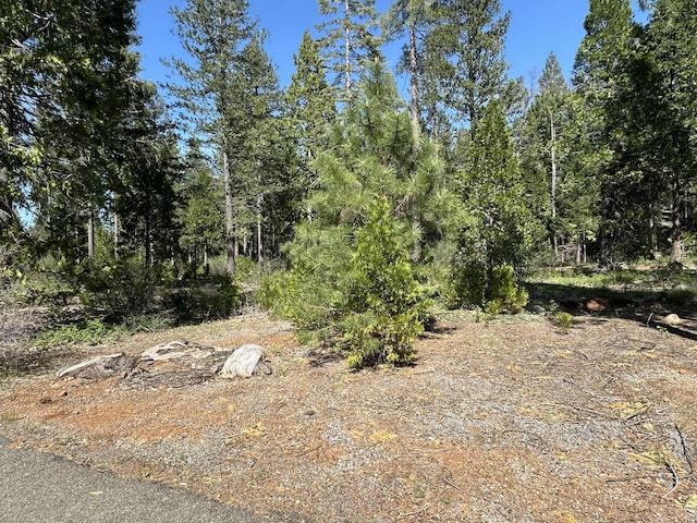 LOT13 Speargrass Ct, Shingletown, CA 96088