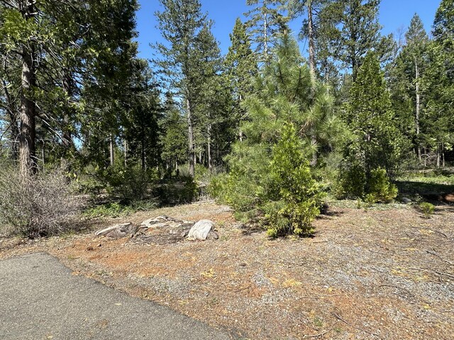 LOT13 Speargrass Ct, Shingletown, CA 96088