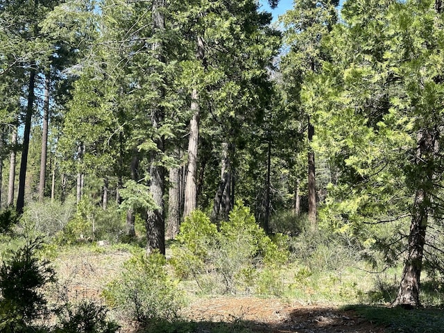 LOT13 Speargrass Ct, Shingletown, CA 96088