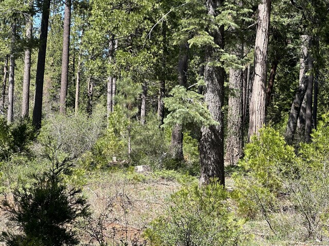 LOT13 Speargrass Ct, Shingletown, CA 96088