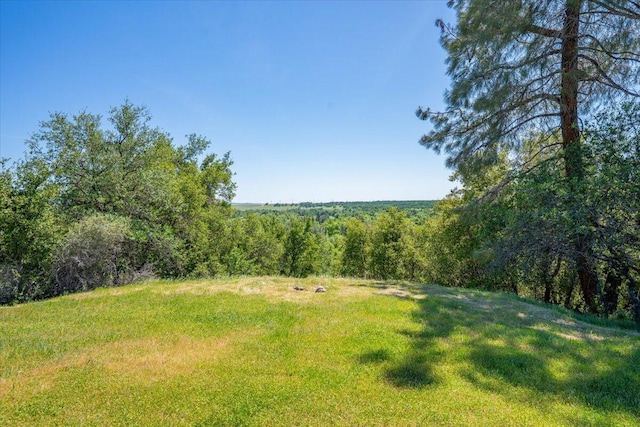 view of yard with a forest view