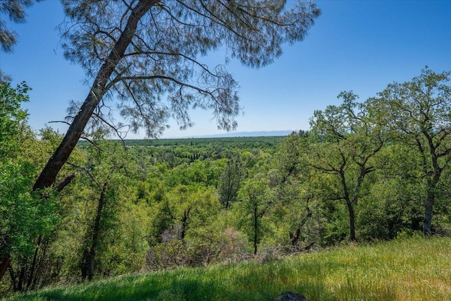 view of nature with a forest view