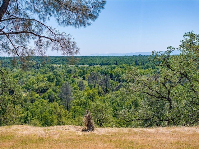 view of landscape with a forest view