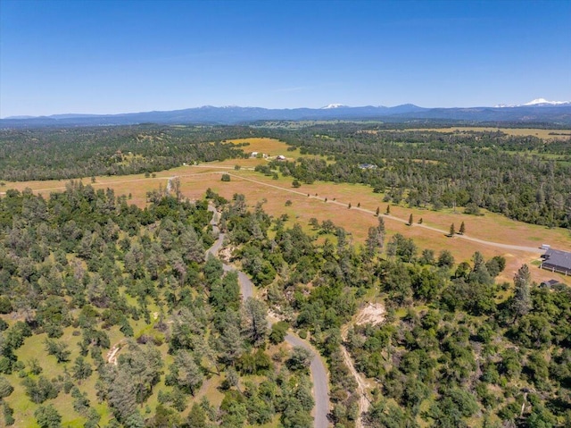 birds eye view of property featuring a mountain view and a forest view
