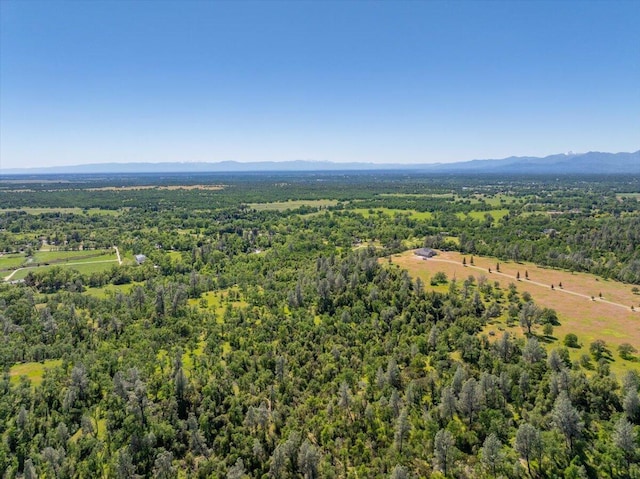 birds eye view of property with a mountain view and a view of trees