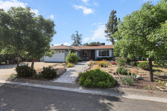 ranch-style house with concrete driveway and a garage