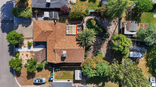 bird's eye view