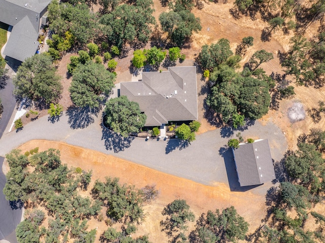 drone / aerial view