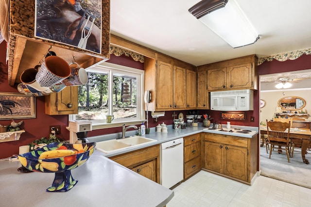 kitchen featuring white appliances, a sink, brown cabinetry, light countertops, and a ceiling fan
