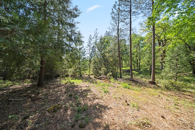 view of landscape with a wooded view