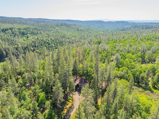 birds eye view of property with a mountain view and a view of trees
