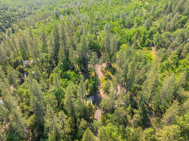 bird's eye view with a view of trees