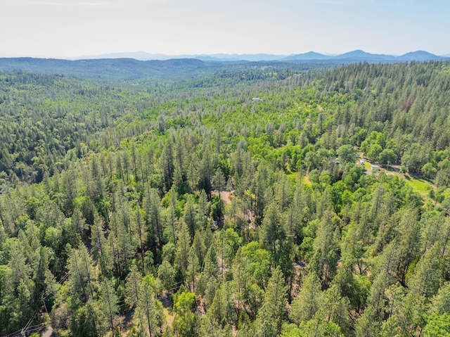 bird's eye view with a forest view and a mountain view