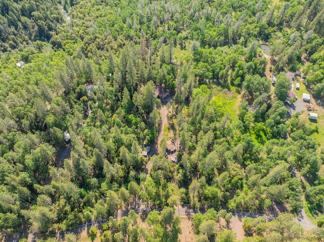 birds eye view of property featuring a forest view