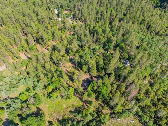 birds eye view of property with a forest view