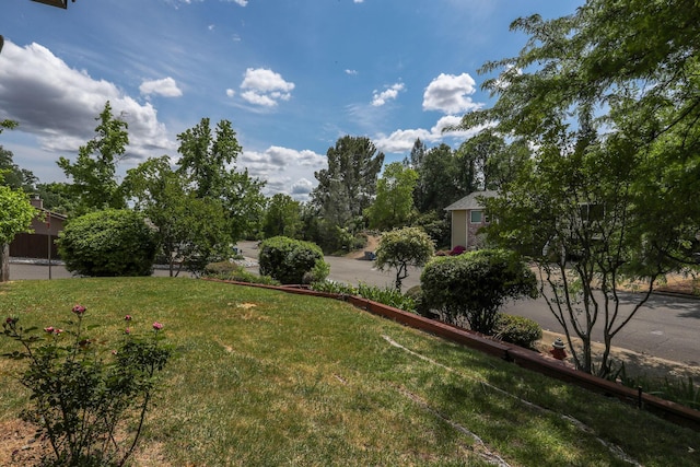 view of grassy yard