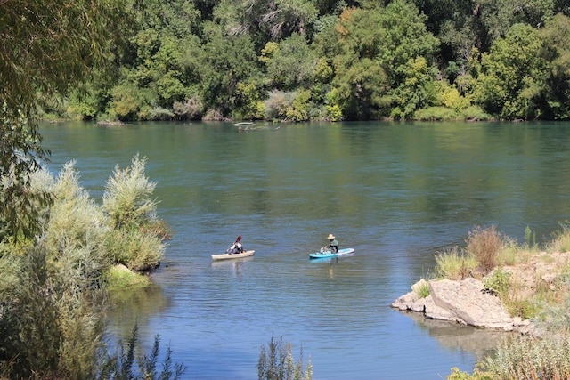 property view of water featuring a forest view