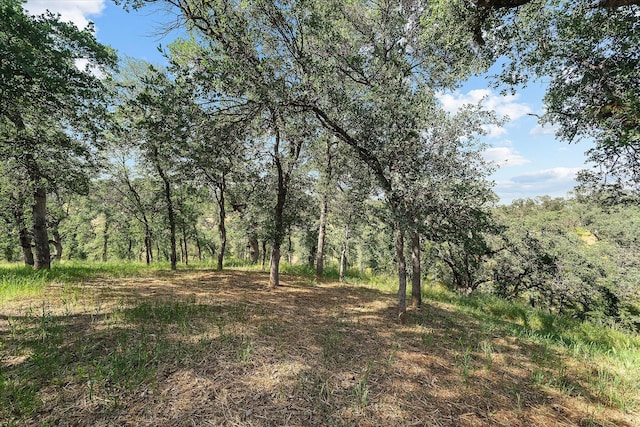 view of local wilderness featuring a wooded view