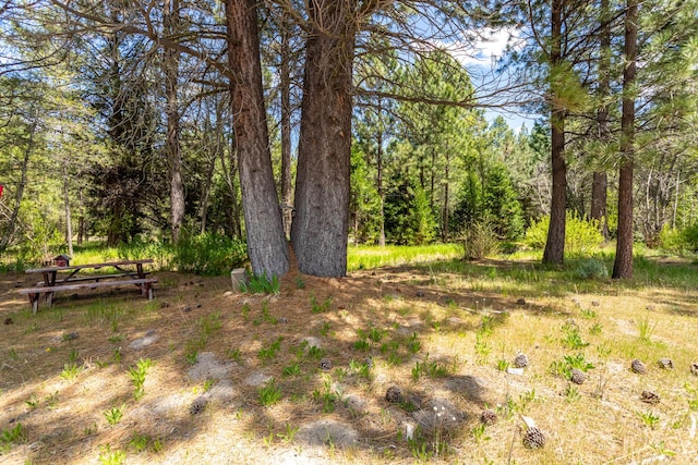 12637 Ivie Ln, Old Station, CA 96071 - view of local wilderness