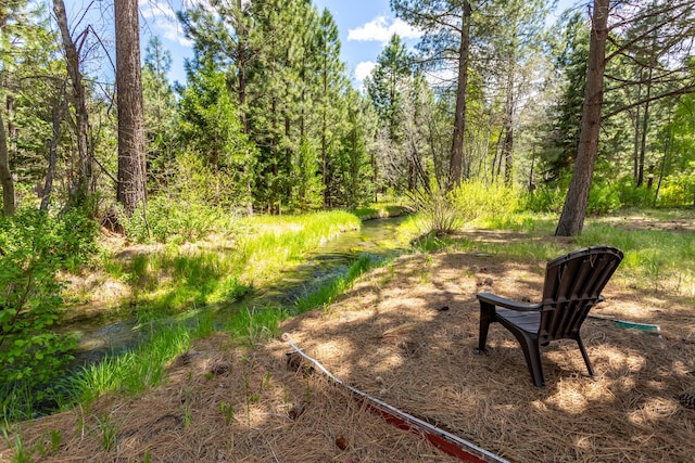 12637 Ivie Ln, Old Station, CA 96071 - view of yard