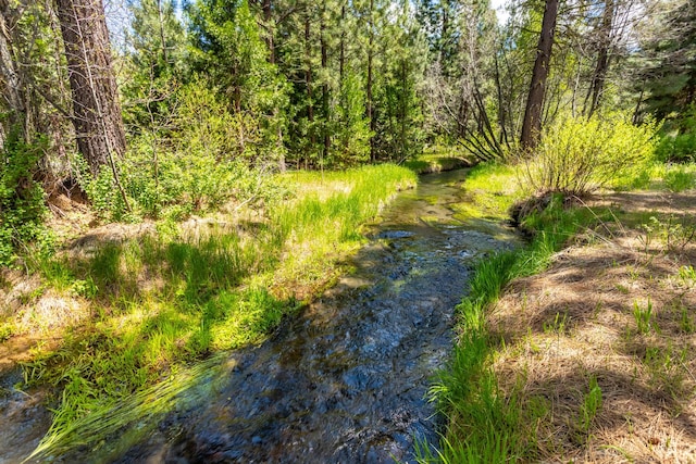 12637 Ivie Ln, Old Station, CA 96071 - view of local wilderness